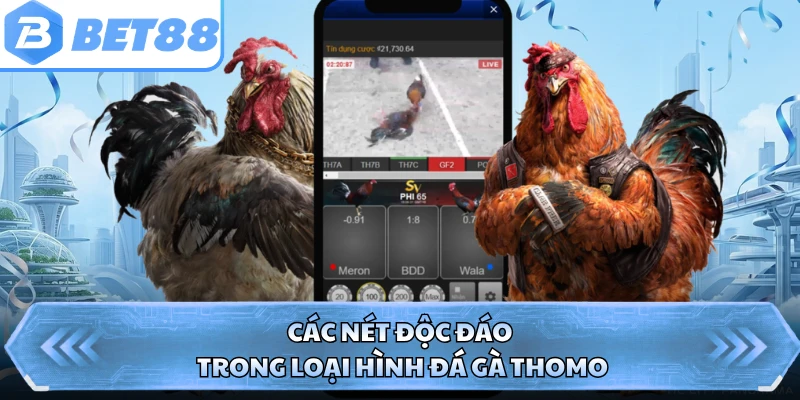 Các nét độc đáo trong loại hình đá gà Thomo