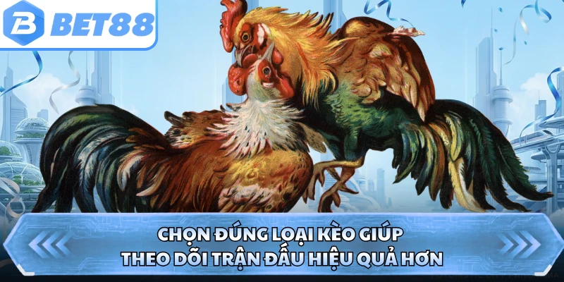 Chọn đúng loại kèo giúp theo dõi trận đấu hiệu quả hơn